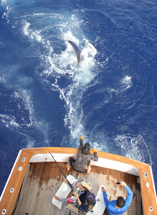 Mama’s First Marlin