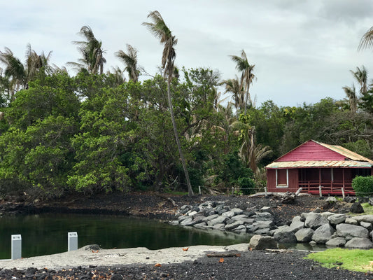 Pohoiki and the newest black sand beach on the Big Island