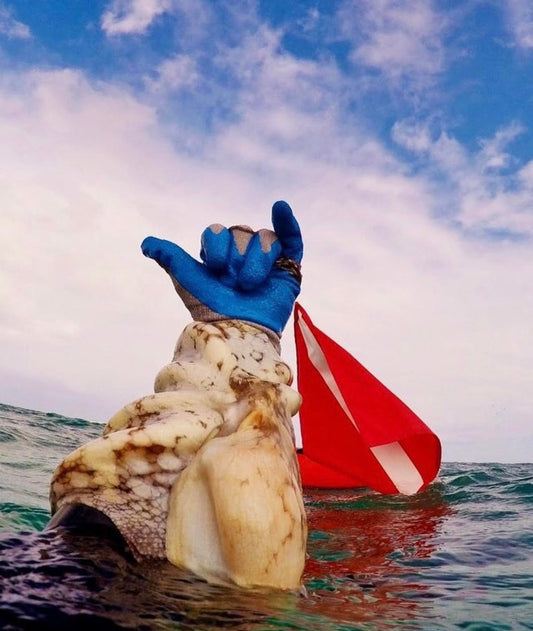 Diver Down Flag on Sale Now!