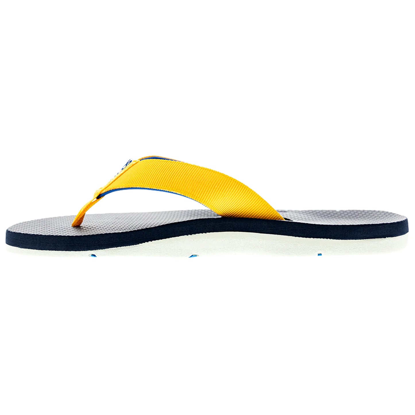 Blue Marlin Hanapa'a - Scott Hawaii x Fish Flag Slippers