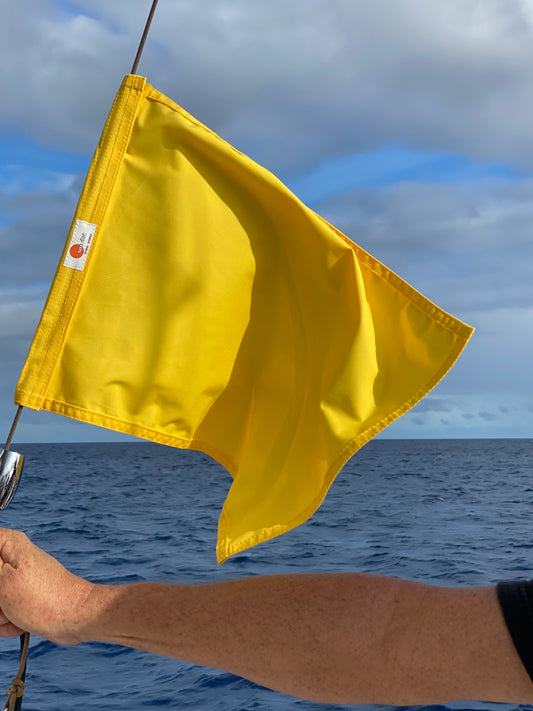 Quarantine Flag - Yellow Sun Dot Flag