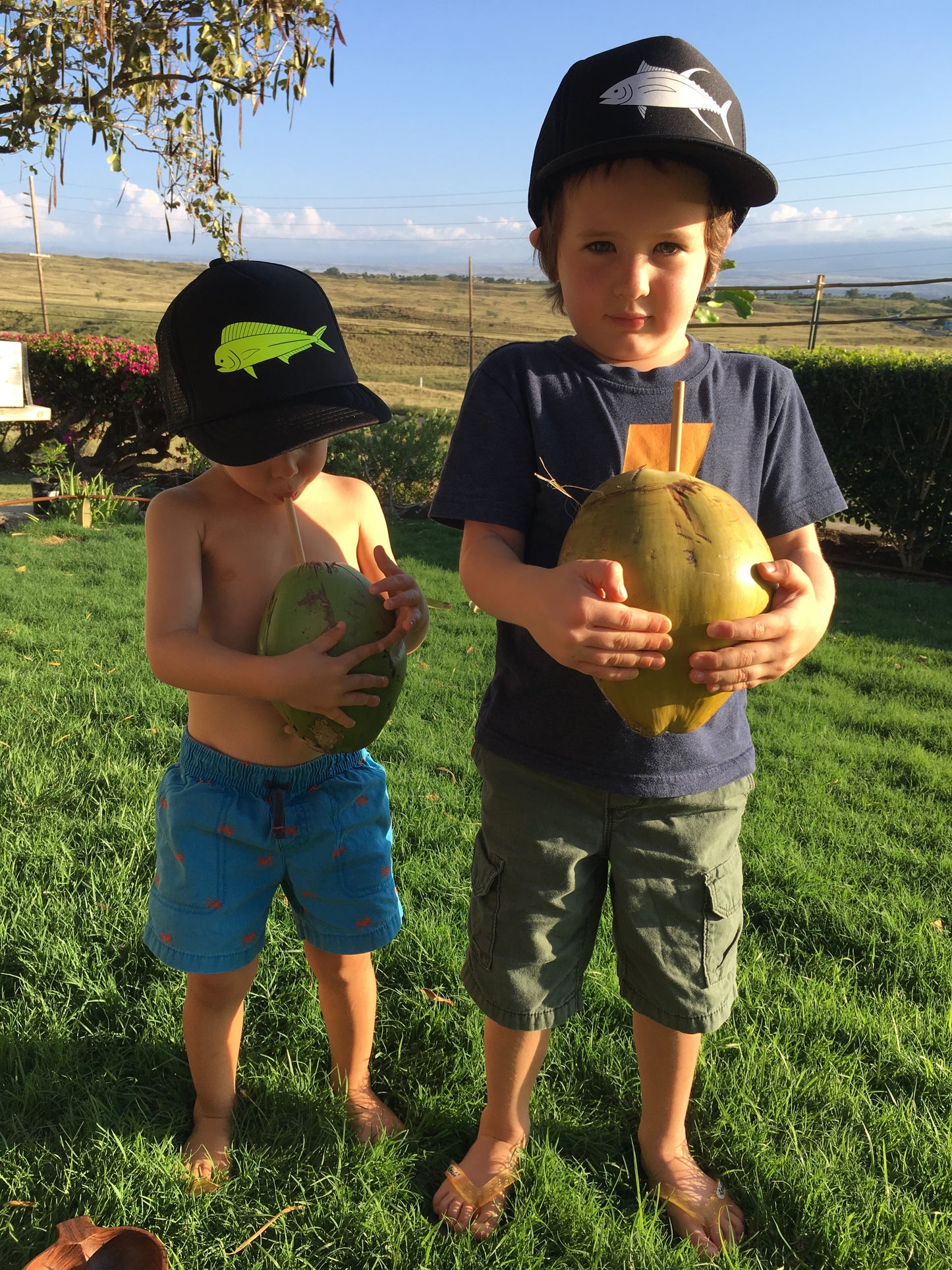 kids mahi and ahi trucker hats on boys holding coconuts