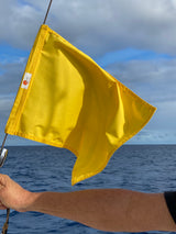 Quarantine Flag - Yellow Sun Dot Flag