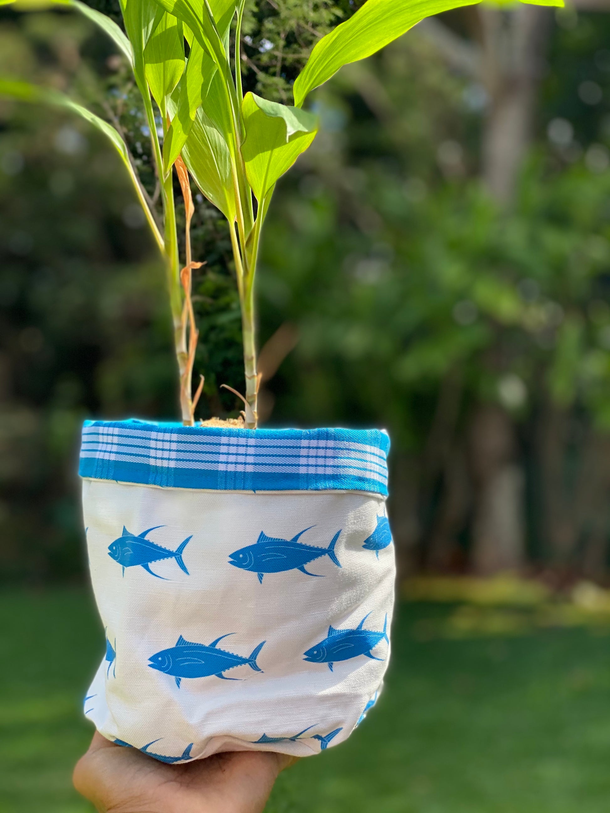 Fish Flag Plant Sacks – Sundot Marine